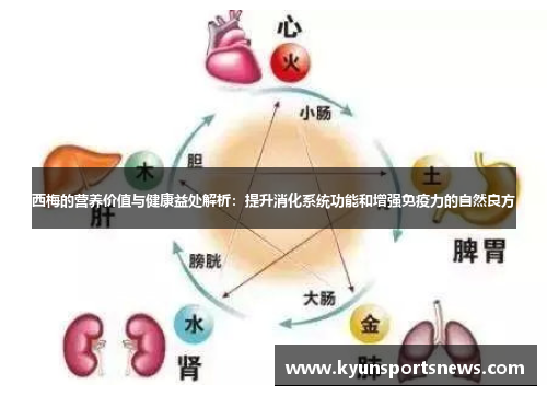 西梅的营养价值与健康益处解析：提升消化系统功能和增强免疫力的自然良方